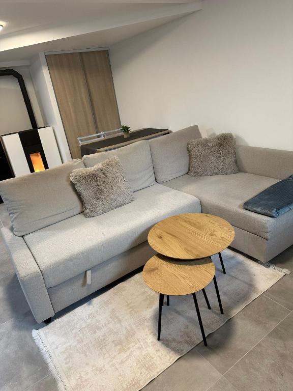 un salon avec un canapé et deux tables dans l'établissement Les Mirabelles, à Ensisheim