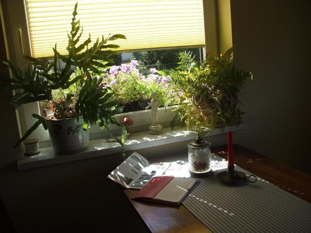 a window sill with potted plants on a table at Ferienhaus in Kienitz mit Grill, Terrasse und Garten in Letschin