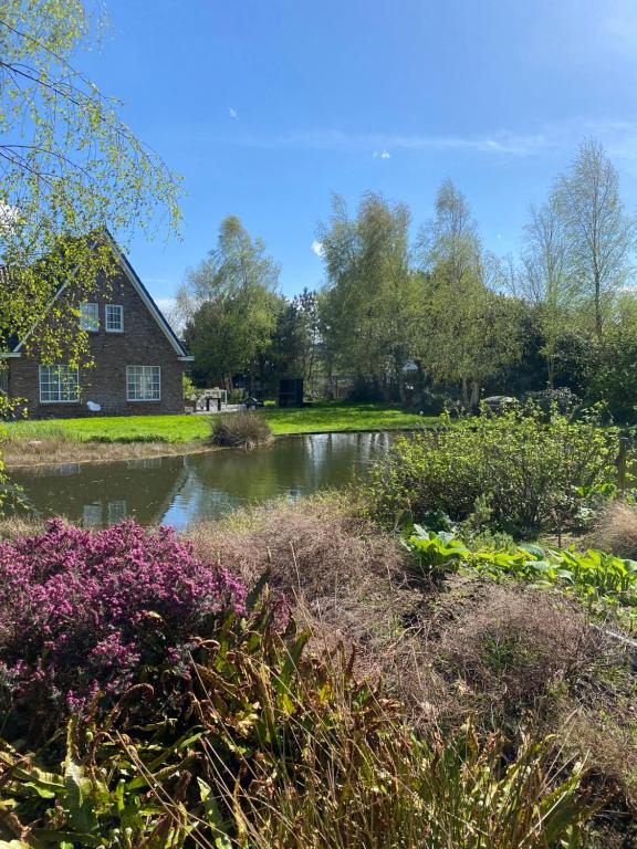 ein Haus und ein Teich vor einem Haus in der Unterkunft Slapen bij de Stewardess B&B Almere in Almere