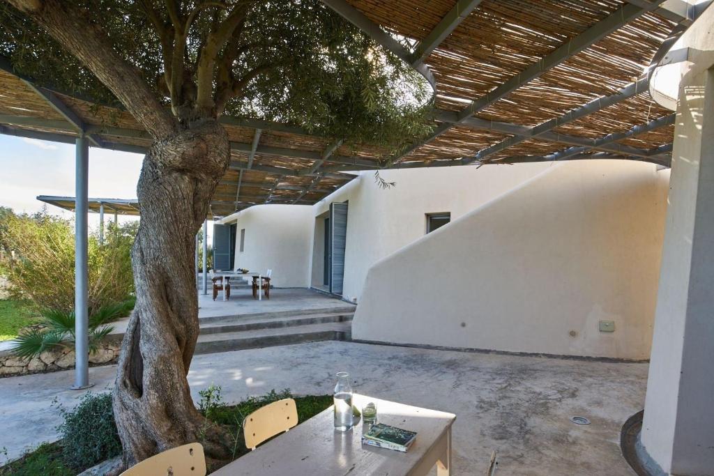 een patio met een boom en een tafel en stoelen bij Ferienhaus für 2 Personen 2 Kinder ca 70 qm in Calabernardo, Sizilien Ostküste von Sizilien in Calabernardo