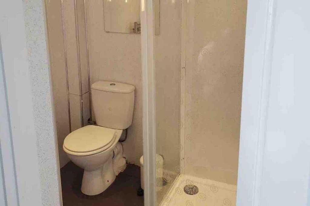 a small bathroom with a toilet and a shower at Tiny one bedroom house in Mablethorpe