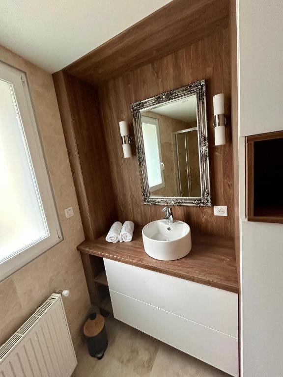 a bathroom with a sink and a mirror at Villa Einigriv in Châtelaillon-Plage