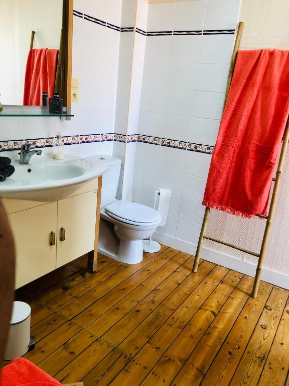 a bathroom with a toilet and a sink at Villa Einigriv in Châtelaillon-Plage
