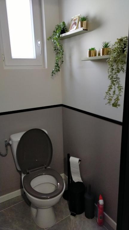 a bathroom with a toilet with a window and plants at La maison de LYA (lyaroom) 