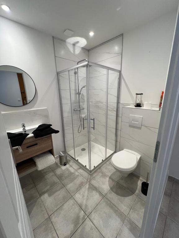a bathroom with a shower and a toilet at Grand studio avec véranda et parking in Auch
