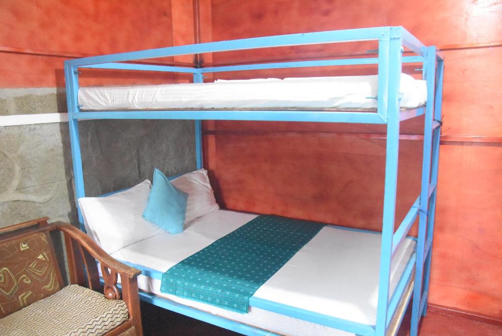 Bunk bed o mga bunk bed sa kuwarto sa Blue Bed Hostel