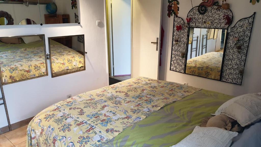 1 Schlafzimmer mit 2 Betten und 2 Spiegeln in der Unterkunft Chambre atypique avec miroirs ds Logement entier in Villeurbanne