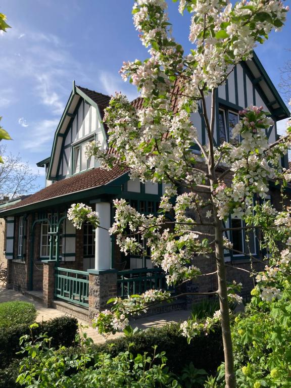 una casa con un árbol floreciente delante de ella en Tree & B en Brujas