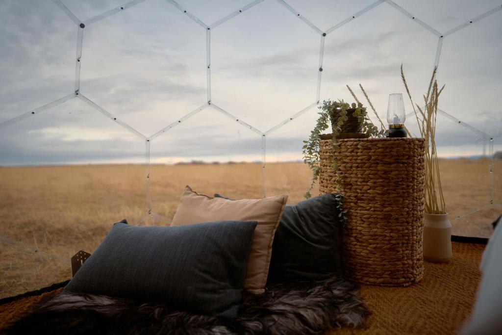 Příroda nedaleko luxury tent