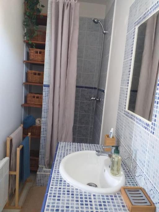 a bathroom with a sink and a shower at Maisonette avec jardinet sur le bas du Faron in Toulon