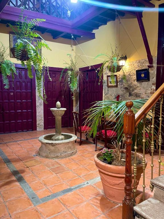 ラスパルマス・デ・グランカナリアにあるel patio de veguetaの噴水と植物のある中庭