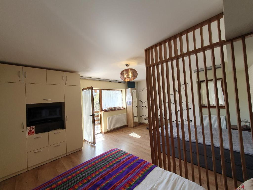 Forest Apartments - Studio