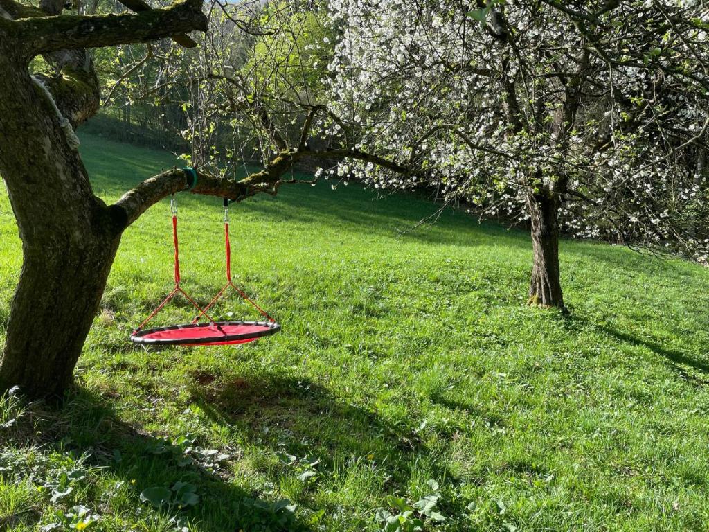 Zahrada ubytování Ferienhaus Holzer Stressless