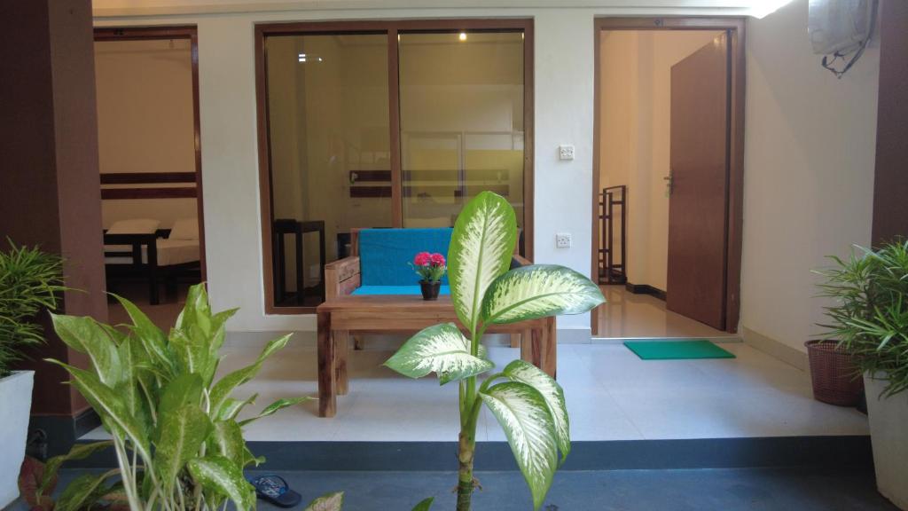 a living room with plants and a blue couch at The Point Bay in Arugam Bay