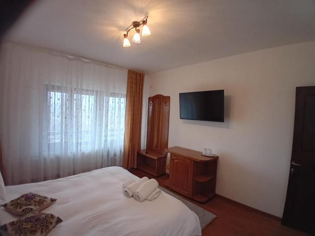 - une chambre avec un lit et une télévision à écran plat dans l'établissement PENSIUNEA SUBCETATE, à Polovragi