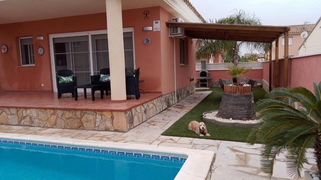 a dog laying next to a house with a swimming pool at Arel in Riumar