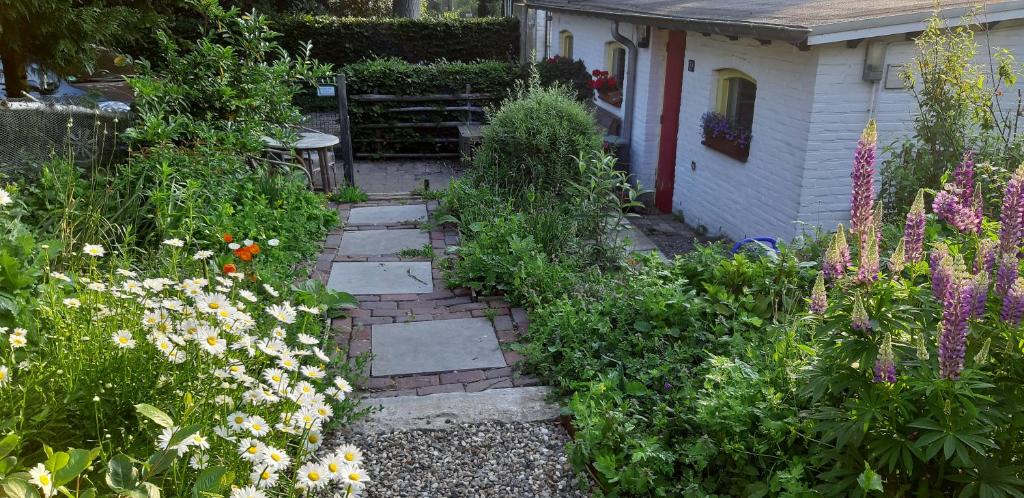 een tuin met bloemen en een bakstenen pad bij San Jacobi in Eijsden