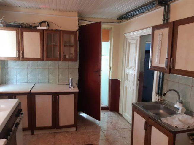a kitchen with a sink and a counter top at Vila Codrin in Iaşi