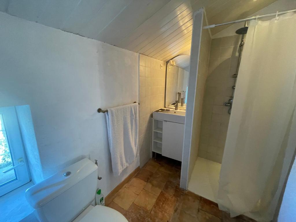 y baño con aseo, lavabo y ducha. en La Gandonne en Caderousse