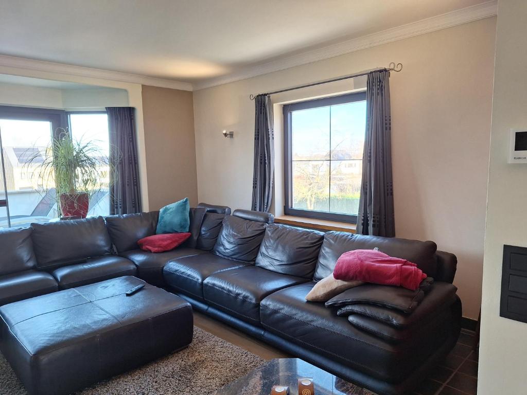 a living room with a leather couch and a window at Kapstertje in Grimbergen