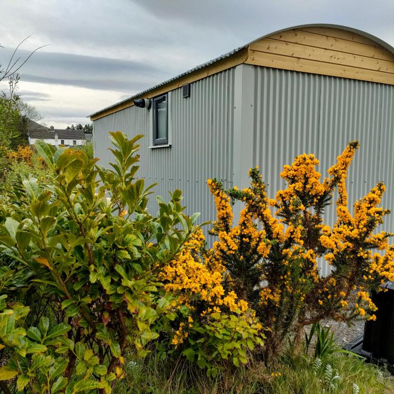 un jardín con flores amarillas frente a un edificio en DANÚ Shepherd's Hut, en Tralee