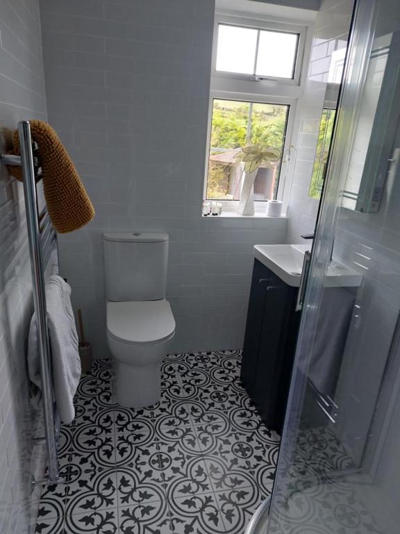 ein Bad mit einem WC, einem Waschbecken und einem Fenster in der Unterkunft Hillside Haven in Tipperary