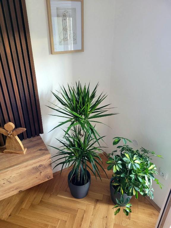 Foto dalla galleria di Nový apartman Eva a Jičín