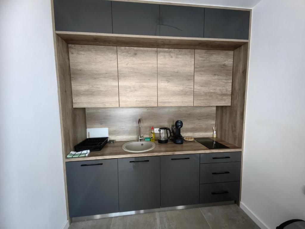 A kitchen or kitchenette at Devana Divčibare A-07