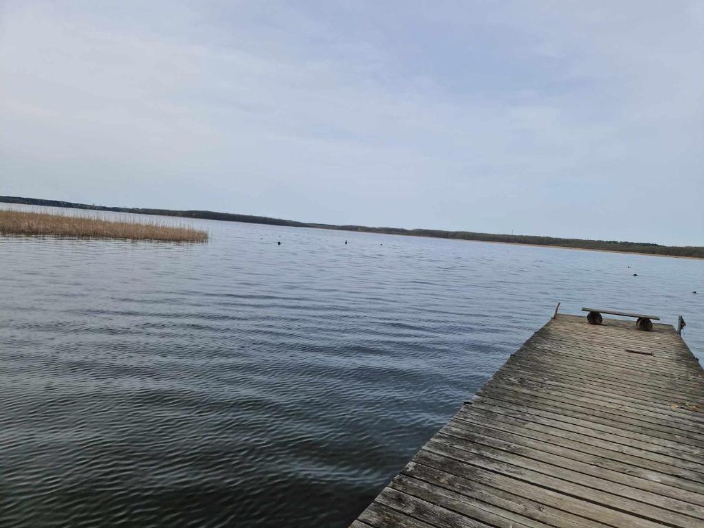 ein Dock in der Mitte eines Wasserkörpers in der Unterkunft Leśny zakątek apartament nr 5 in Radzyń