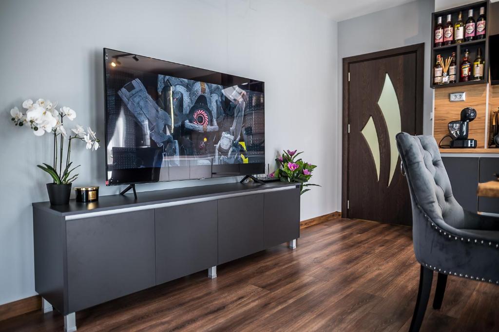 TV a/nebo společenská místnost v ubytování Apartment Tiana Lux 2