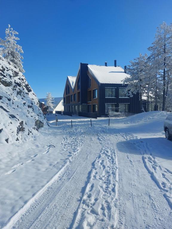 Obiekt Devana Divčibare A-09 zimą