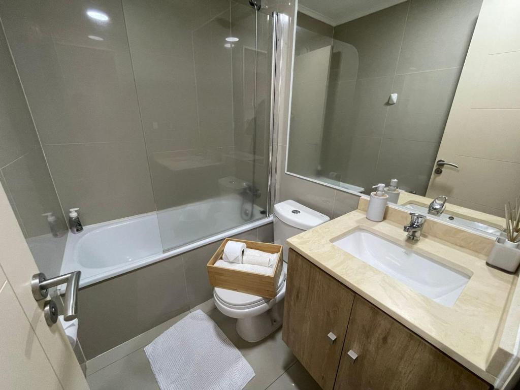 a bathroom with a sink and a toilet and a shower at Acogedor Departamento estudio en centro de Chillán in Chillán