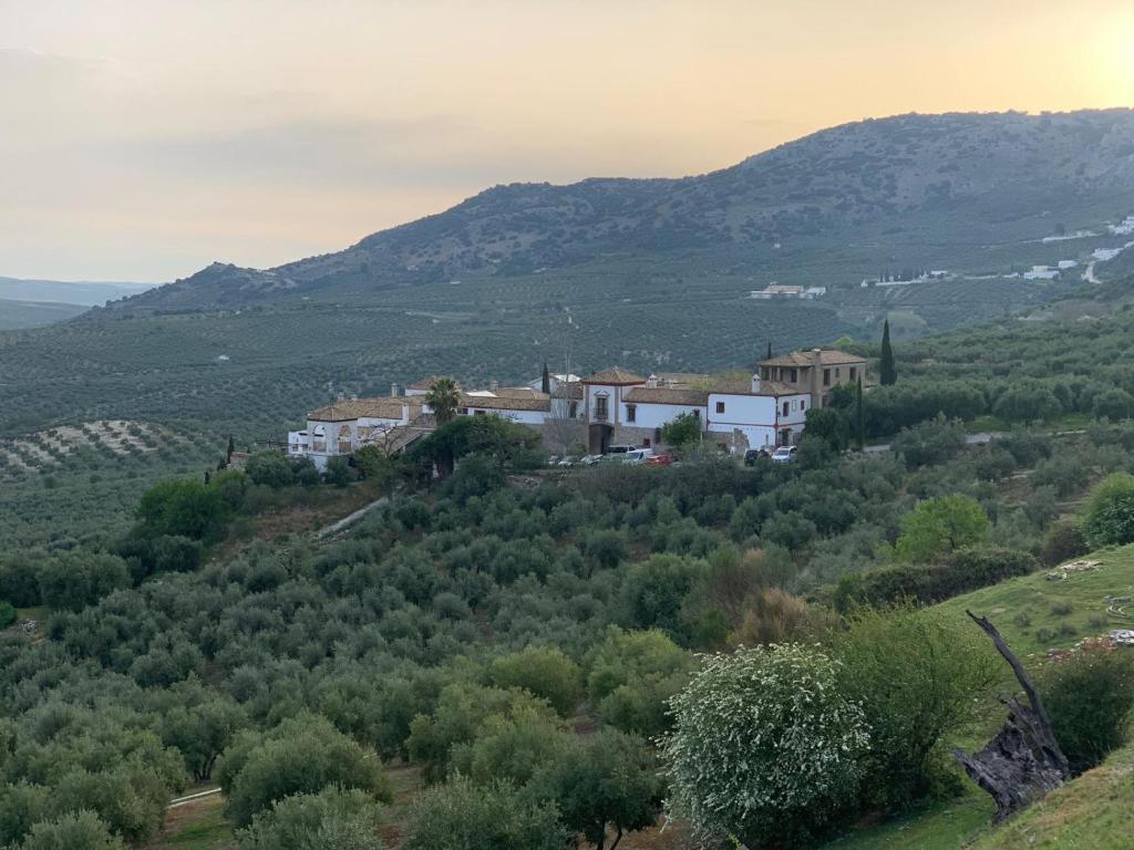 a group of houses on a hill with trees at CASA MENCÍA CÓRDOBA in Doña Mencía