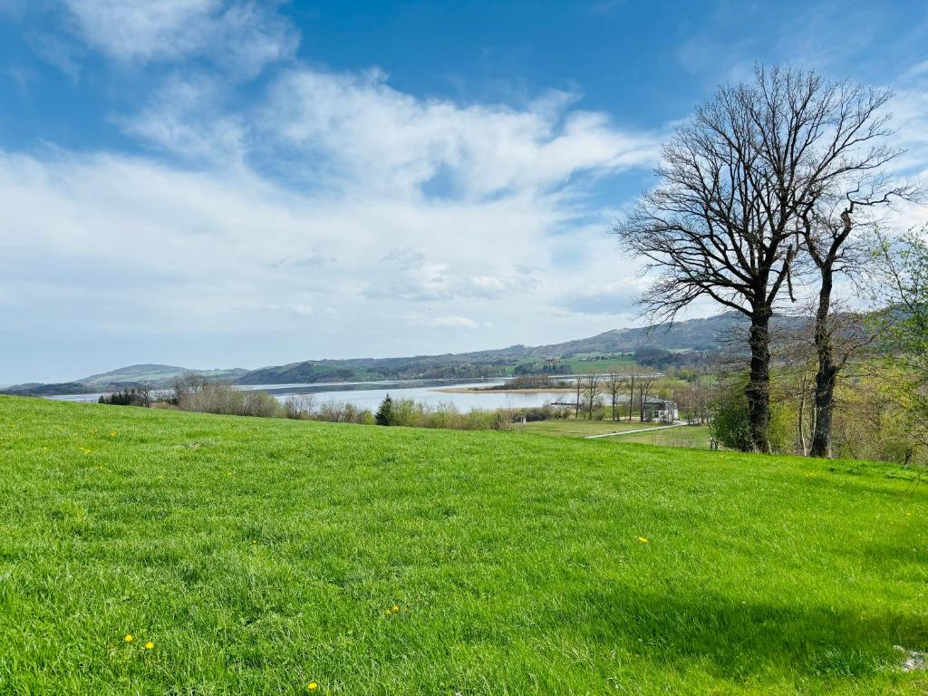 een veld van groen gras met een boom en een meer bij Gästhaus "Seeblick" in Seekirchen am Wallersee