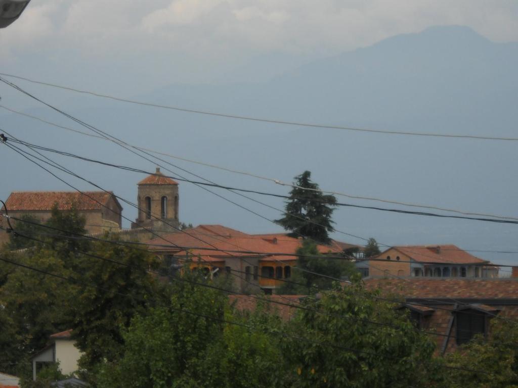 Fotografie z fotogalerie ubytování Dima's Guesthouse v destinaci Telavi