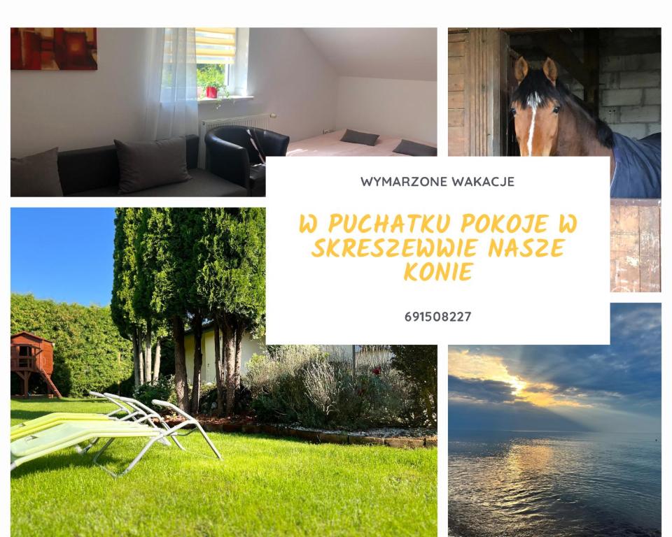 a collage of photos of a house with a horse at Willa Puchatek in Gąski