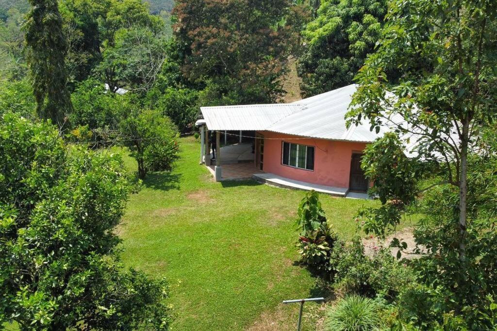 聖克魯斯德約霍阿的住宿－Casa en la naturaleza，森林中间的小房子