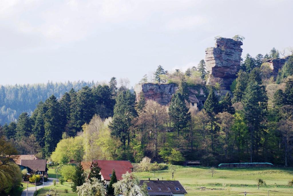 Příroda nedaleko prázdninového domu