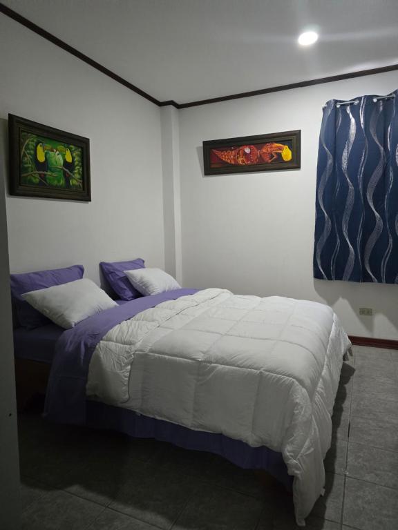 1 dormitorio con 1 cama y 2 cuadros en la pared en Rohrmoser Geromax parque avion en San José