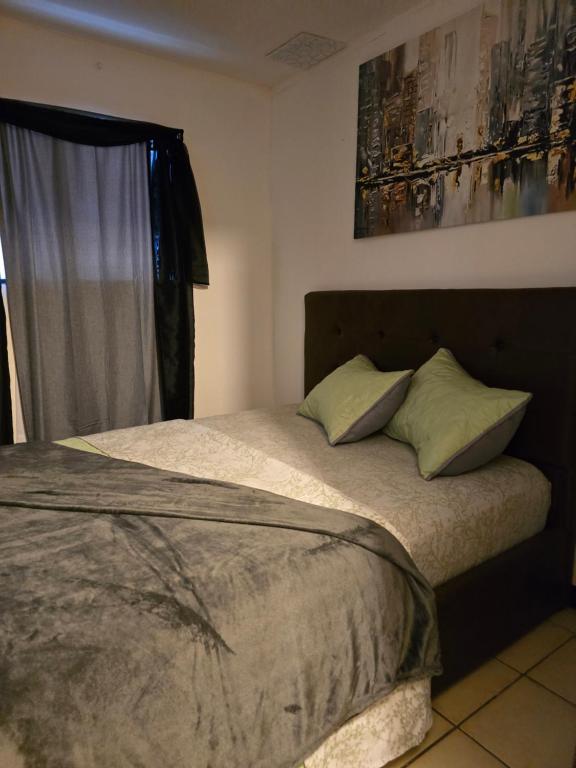ein Bett mit zwei Kissen und ein Fenster in einem Schlafzimmer in der Unterkunft 75 metros de la embajada americana in San José