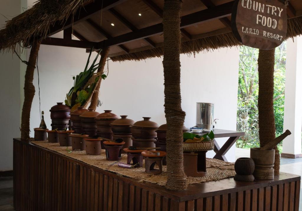 Zahrada ubytování Lario Resort Sigiriya