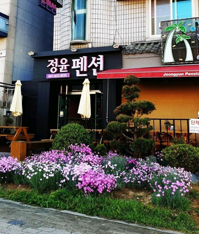 보령 정윤펜션_1