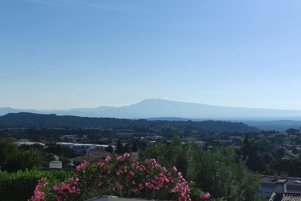 - une vue sur la ville avec ses montagnes et ses fleurs roses dans l'établissement Le Petit Clos des Chênes - 100% privatif, à Villeneuve-lès-Avignon