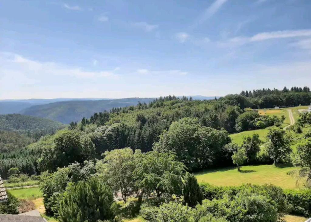 eine Luftansicht auf ein Tal mit Bäumen in der Unterkunft Ferien in der Eifel in Berg