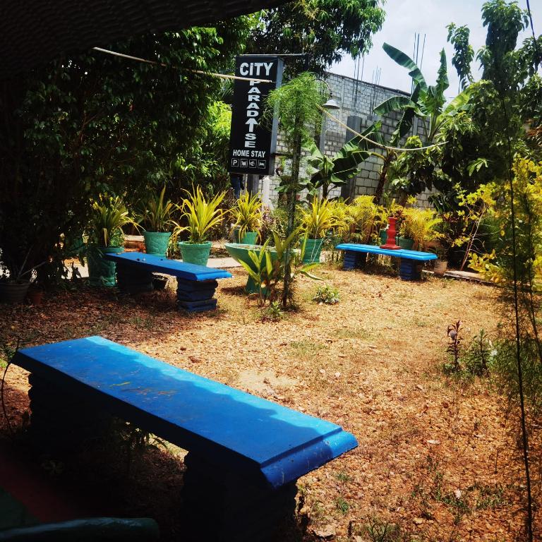 City Paradise Dambulla - 16