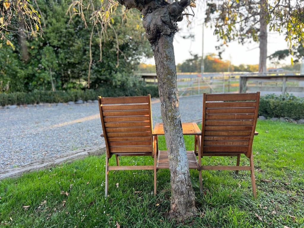 Zahrada ubytování Short Stay- ENTIRE GUESTHOUSE!