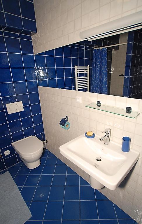 Rezidence & Wellness Blatov - Resim 21