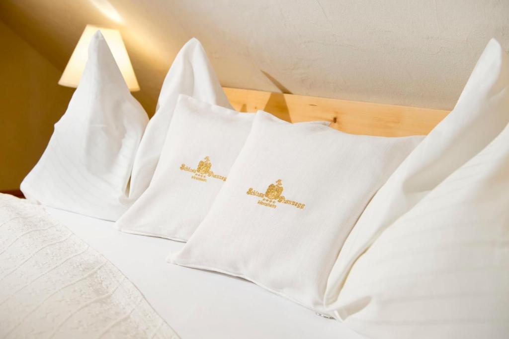 Aparthotel Schloss Thannegg - 3