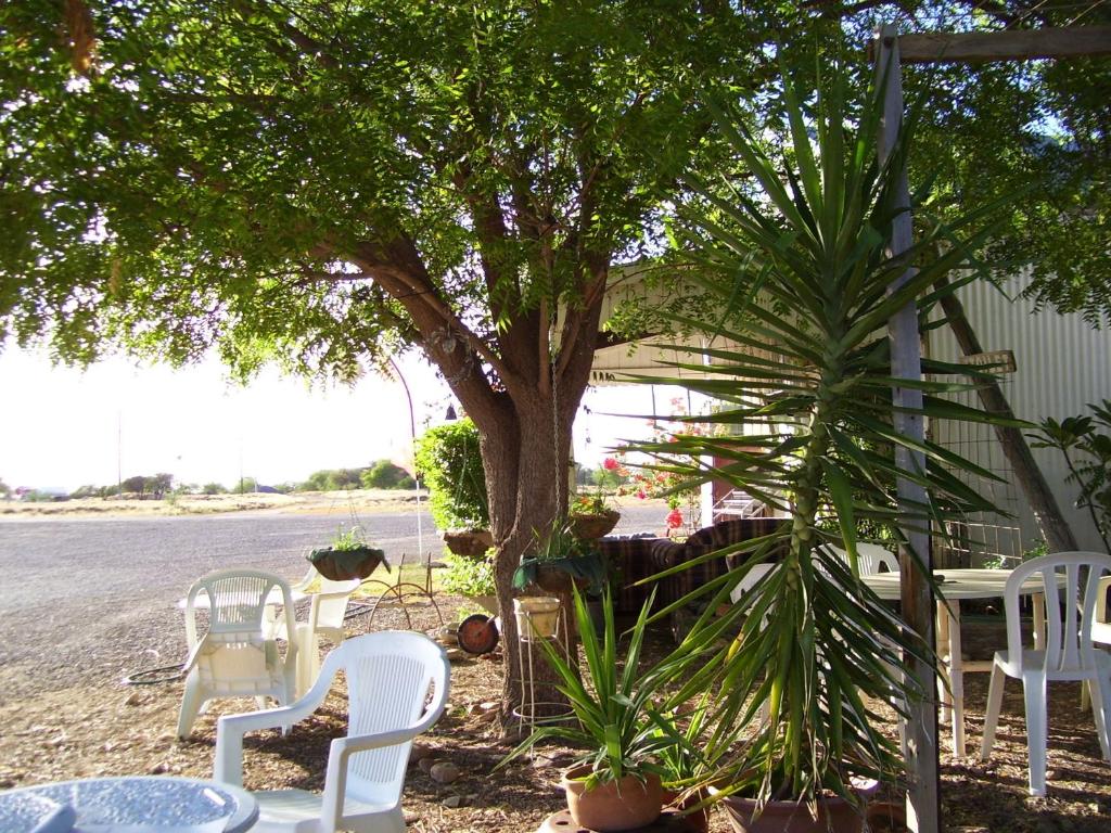 a group of white chairs and tables under a tree at Corella Creek Country Farm Stay in Nelia
