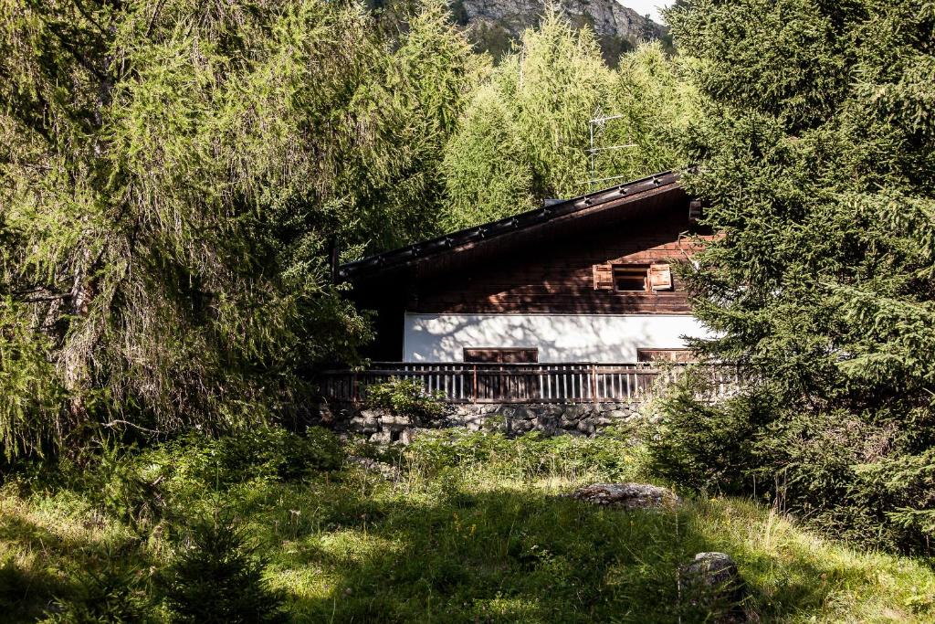 雷西亚Chalet am Reschensee的森林中的小屋